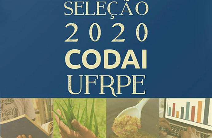 cartaz seleção codai