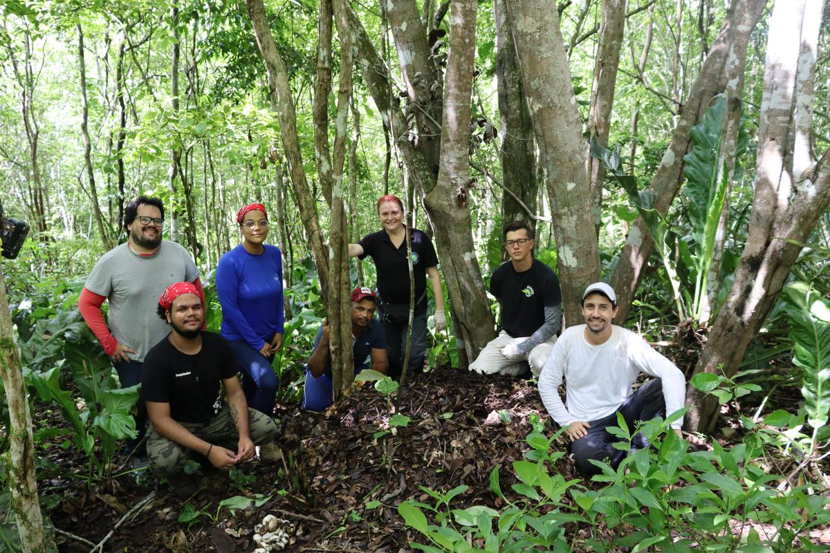 equipe no ninho