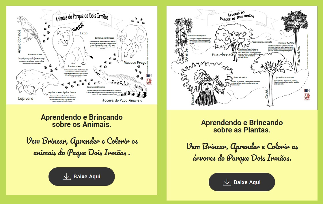 imagens dos jogos do site